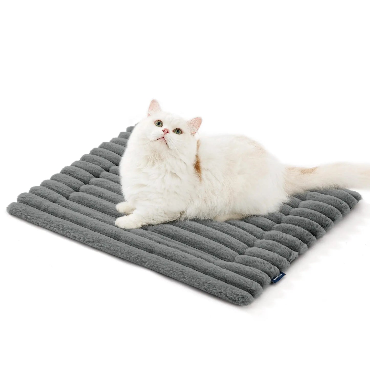 Warm Puppy Mat Indoor Outdoor