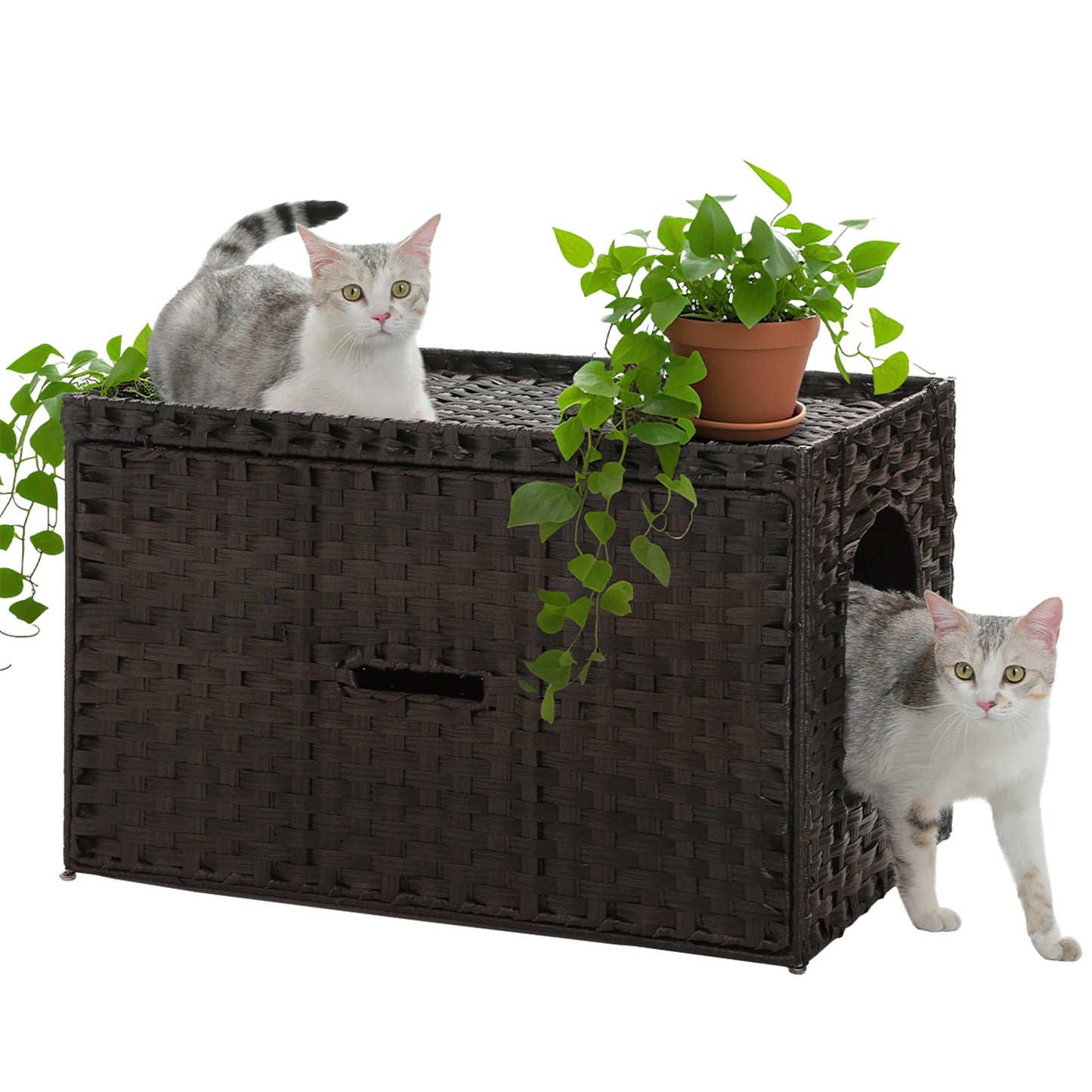 Rattan Hidden Litter Box House